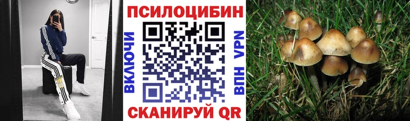 Псилоцибиновые грибы GOLDEN TEACHER  Шенкурск 
